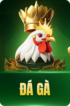 Đá gà Febet