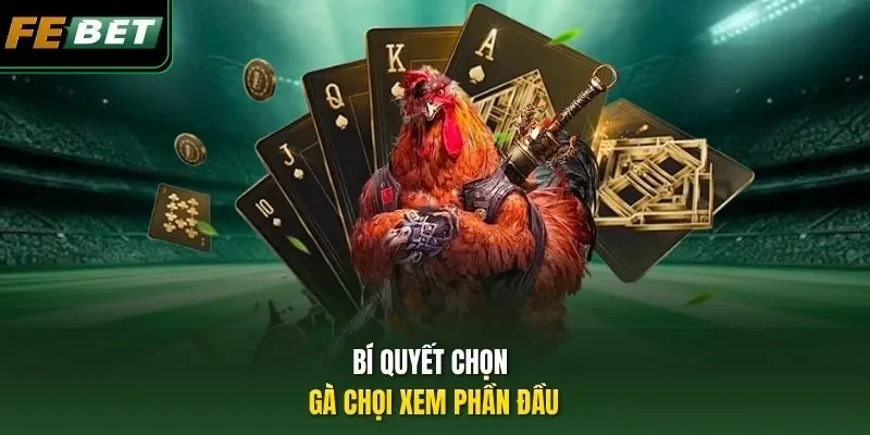 Bí quyết chọn gà chọi xem phần đầu