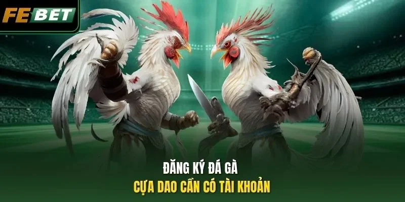 Đăng ký đá gà cựa dao cần có tài khoản