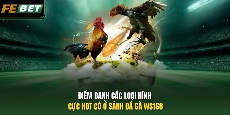 Điểm danh các loại hình cực hot có ở sảnh đá gà WS168