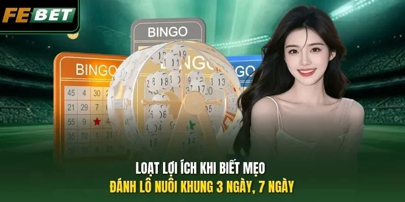 Loạt lợi ích khi biết mẹo đánh lô nuôi khung 3 ngày, 7 ngày
