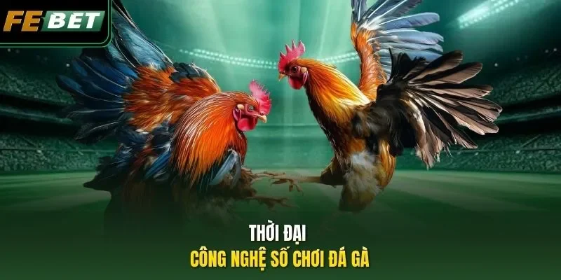 Thời đại công nghệ số chơi đá gà