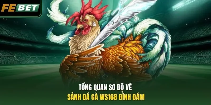 Tổng quan sơ bộ về sảnh đá gà WS168 đình đám