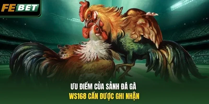 Ưu điểm của sảnh đá gà WS168 cần được ghi nhận