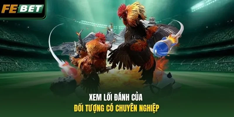 Xem lối đánh của đối tượng có chuyên nghiệp