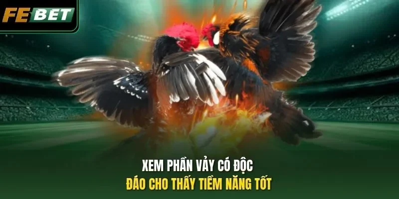 Xem phần vảy có độc đáo cho thấy tiềm năng tốt